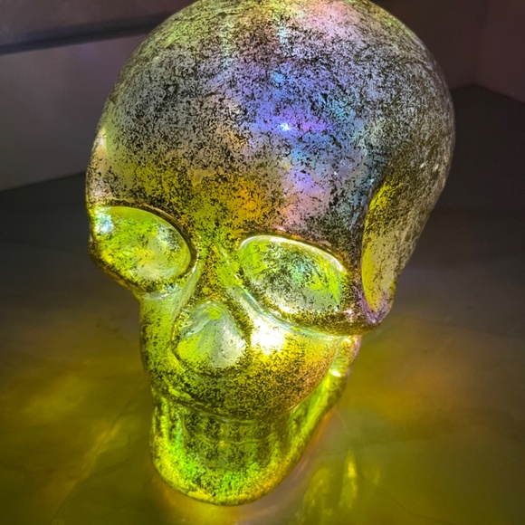 CHRISTOPHER RADKO SKULL - Picture 3 of 6